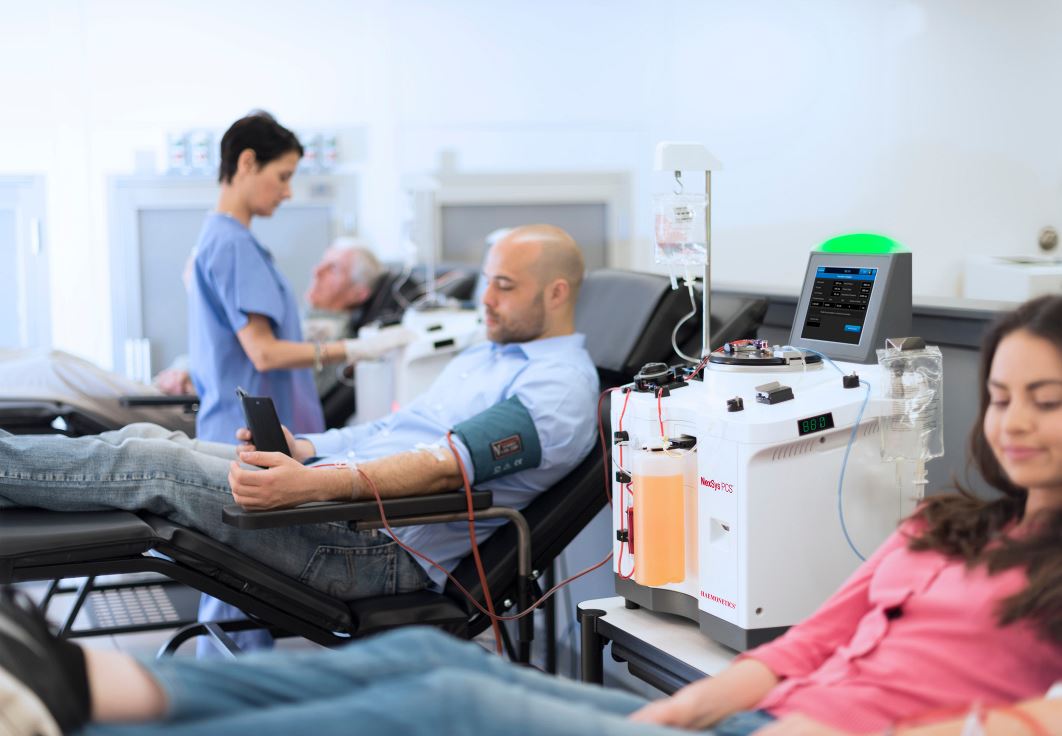 Colic in horses McDowell's Herbal Treatments